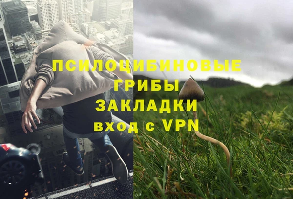 соль курить ск Балабаново