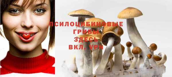 соль курить ск Балабаново