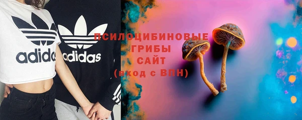 СК Балахна