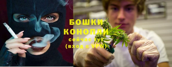 СК Балахна