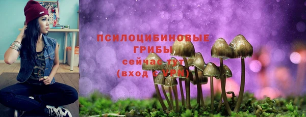 соль курить ск Балабаново
