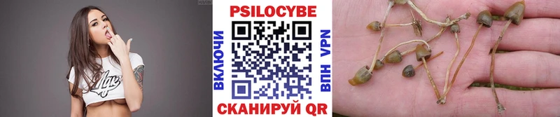 Псилоцибиновые грибы Psilocybine cubensis  OMG онион  Заволжск 
